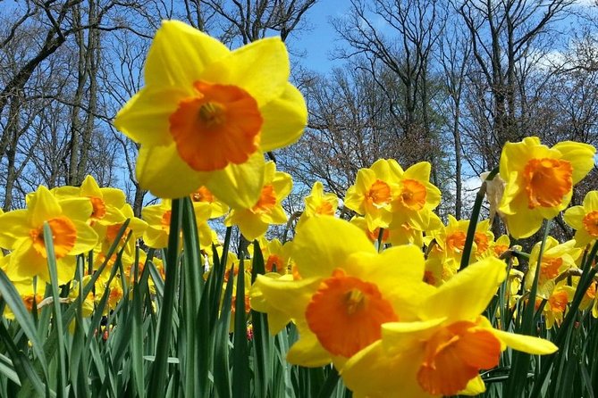 Flowerfields (Incl. Photoshoot) & off the Beaten Tracks - Uncovering Hidden Gems: Off the Beaten Tracks