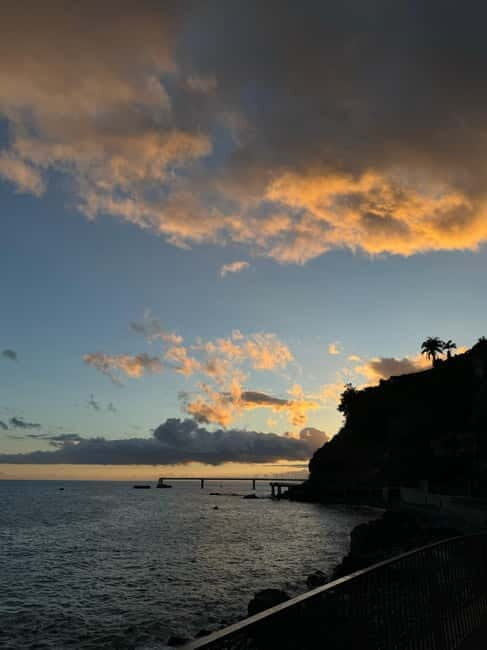 Flowers Of The Forest, Câmara de Lobos 4x4 Jeep Tour - The Sum Up