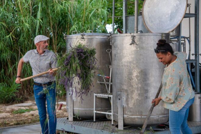Flowers Picking and Essential Oil Distillation Workshop - Language Options