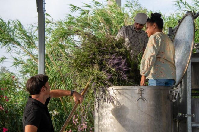 Flowers Picking and Essential Oil Distillation Workshop - Workshop Highlights