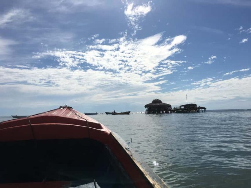 Floyds Pelican Bar, Ys Falls and Black River Safari Tour - Good To Know