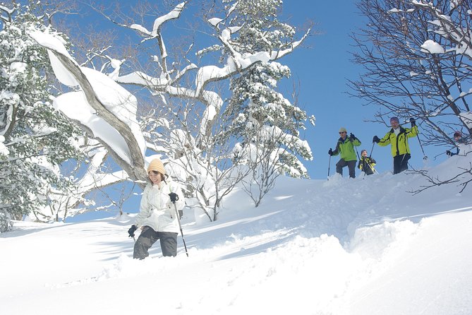 Fluffy New Snow and the Earth Beating, Goshougake Oyunuma Snowshoeing Tour - Pricing and Booking Details