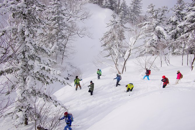 Fluffy New Snow and the Earth Beating, Goshougake Oyunuma Snowshoeing Tour - Duration and Ticket Details