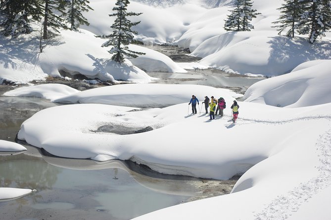 Fluffy New Snow and the Earth Beating, Goshougake Oyunuma Snowshoeing Tour - Cancellation Policy and Refunds