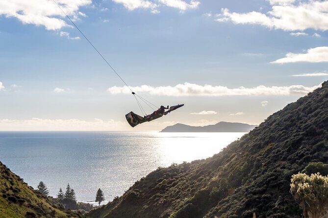 Fly By Wire New Zealand - The Experience: What to Expect from Start to Finish