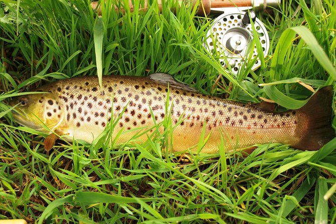 Fly Fishing for Wild Brown Trout on Lough Corrib. Galway. Private Ghillie. - Pricing and Booking Information