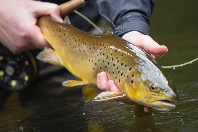 Fly Fishing for Wild Brown Trout on Lough Corrib. Galway. Private Ghillie. - Fishing Locations on Lough Corrib