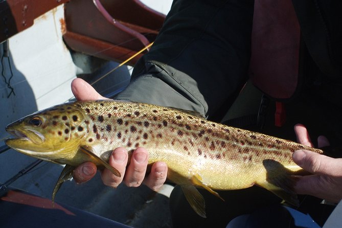Fly Fishing for Wild Brown Trout on Lough Corrib. Galway. Private Ghillie. - Common Questions