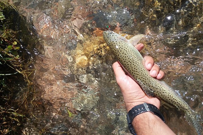 Fly Fishing on Private Andean River Including Barbecue Lunch - Departure From Mendoza to Uco Valley
