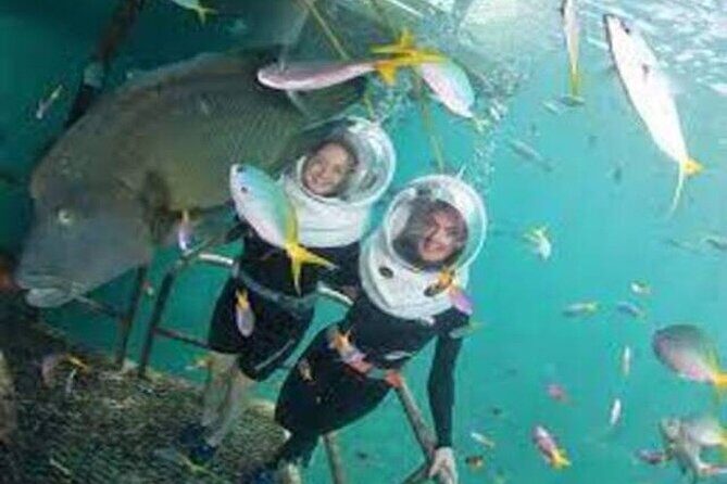 Fly in and Fly out Great Barrier Reef Cairns Day Tour - Marine Life & Underwater Exploration