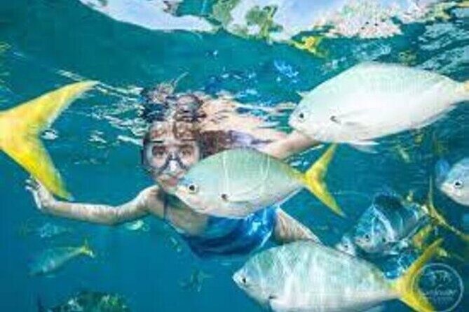 Fly in and Fly out Great Barrier Reef Cairns Day Tour - Additional Details and Practicalities