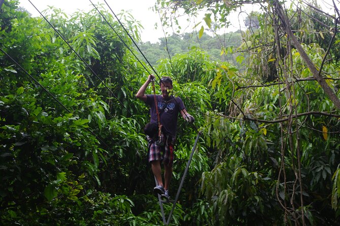 Fly Zone Treetop Zip Line Adventure at Loterie Farm - Traveler Photos and Reviews