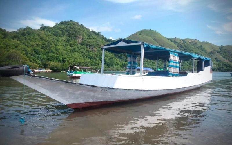 Flying Fox Sunset Cruise Private Boat Charter Komodo Labuan Bajo - Sunset, bats and the return to shore