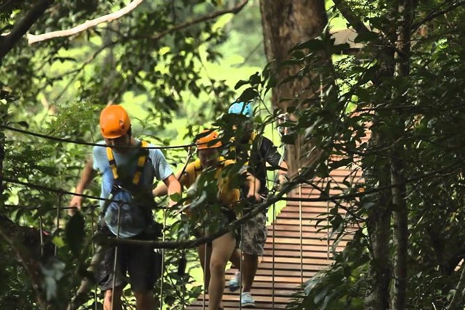 Flying Hanuman Ziplines 28 Platforms With Lunch - Booking and Pricing Details