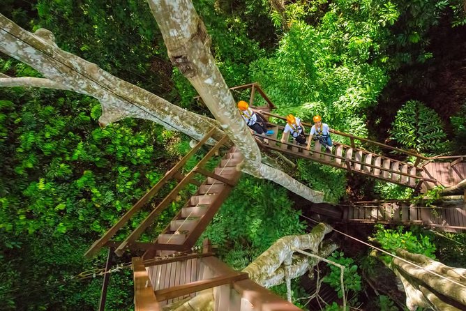 Flying Hanuman Ziplines 42 Platforms With Transfer Roundtrips - Flying Hanuman Ziplines Overview
