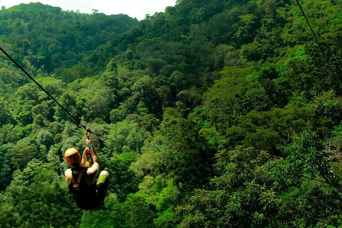 Flying Hanuman Ziplines 42 Platforms With Transfer Roundtrips - The Sum Up