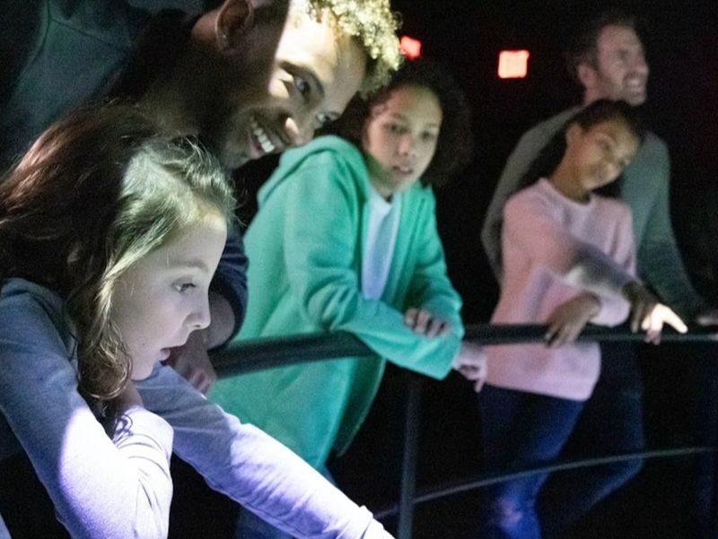 Flyover in Chicago Experience - Buckle in for the 65-foot screen