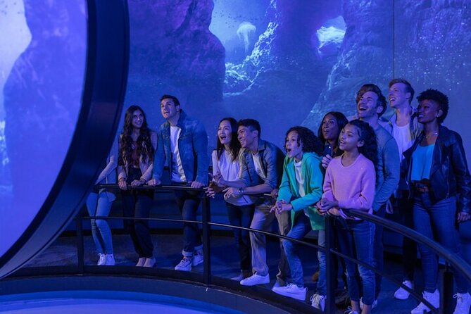 FlyOver in Las Vegas - Additional Information