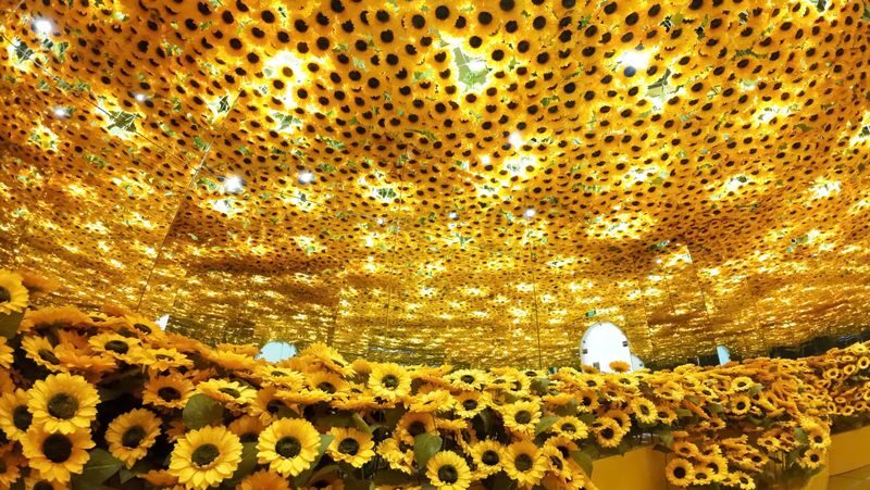 Flyover Starry Sky Art Experience Ticket in Ho Chi Minh City - Who will enjoy the light rooms most