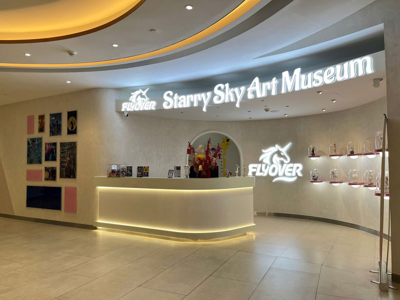 Flyover Starry Sky Art Experience Ticket in Ho Chi Minh City - Should you book the Flyover Starry Sky Art Experience?