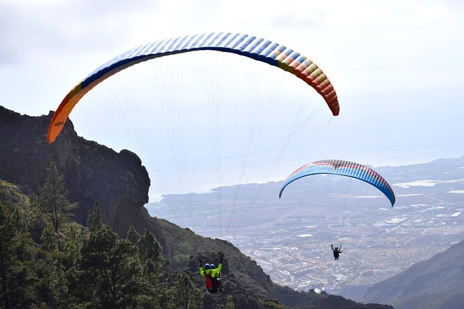 FlyTenerife Paragliding Flight - Reviews