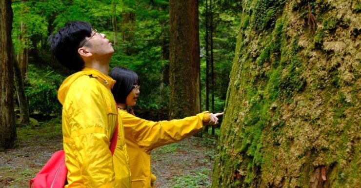 Fm Odawara: Forest Bathing and Onsen With Healing Power - Cancellation Policy