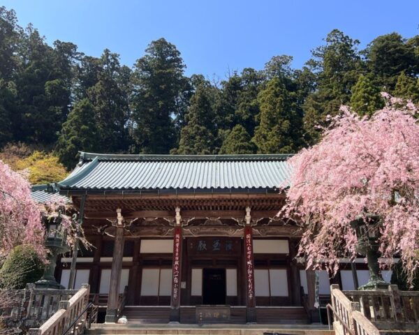Fm Odawara: Forest Bathing and Onsen With Healing Power - Onsen Experience