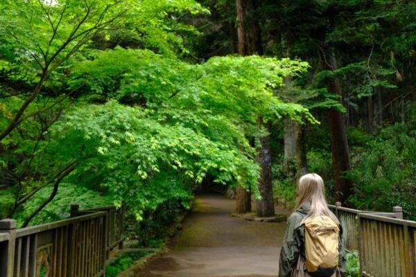 Fm Odawara: Forest Bathing and Onsen With Healing Power - Professional Guide