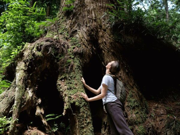 Fm Odawara: Forest Bathing and Onsen With Healing Power - Common Questions