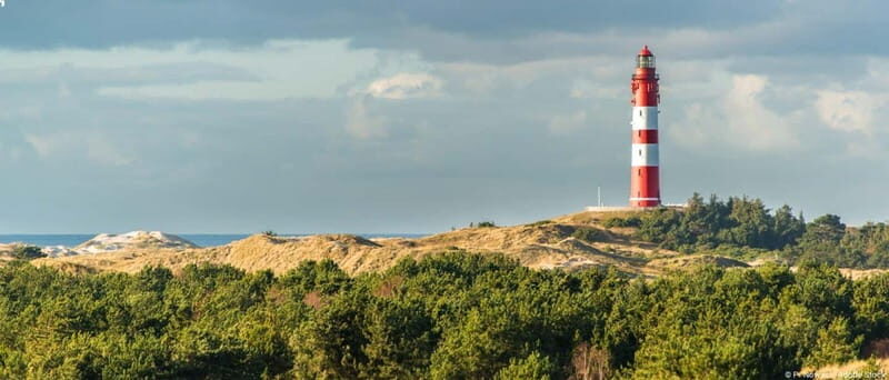 Föhr: Daytrip by boat to Amrum - Good To Know