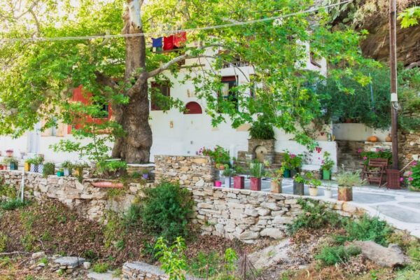 Follow the Riverside Hiking Tour (Private Experience) - Language Options and Group Dynamics