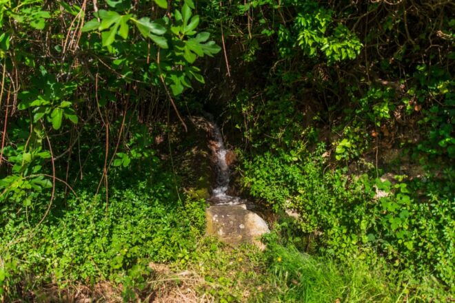 Follow the Riverside Hiking Tour (Small Group Experience) - Activities Included