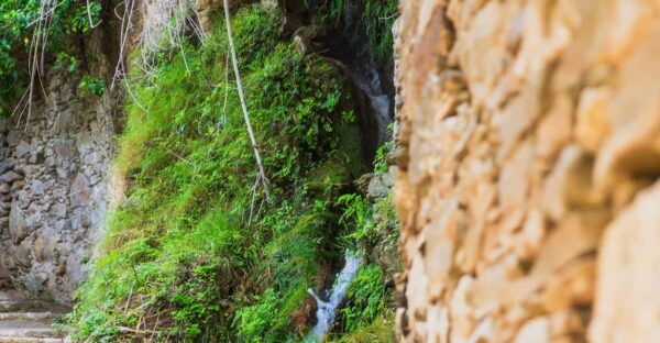 Follow the Riverside Hiking Tour (Small Group Experience) - Tips for Participants