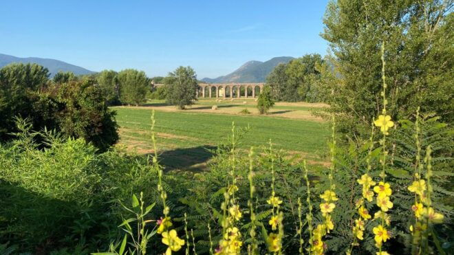 Following the Truffle Trail: Gastronomic Journey From Lucca - Important Information