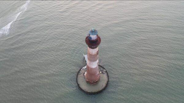 Folly Beach: Morris Island Dolphin Watching Boat Cruise - Frequently Asked Questions