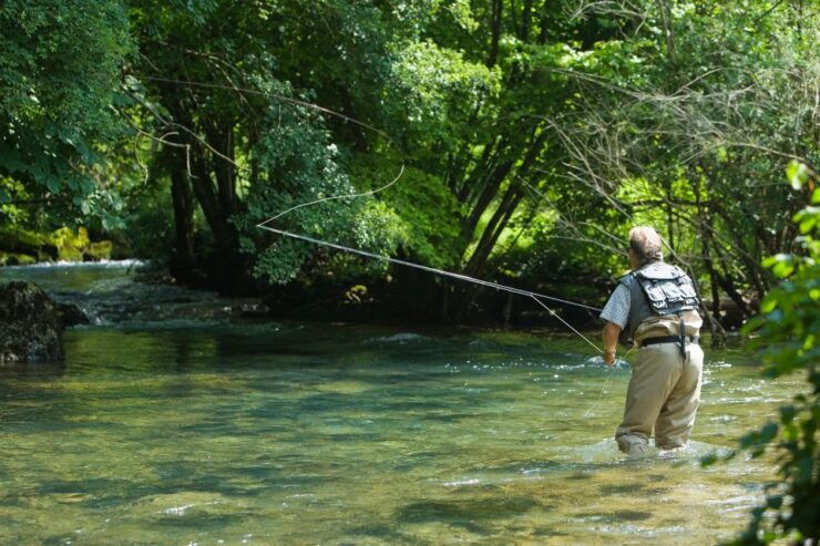 Foncine-le-Bas: Full-Day Fly Fishing Course in the Jura - Activity Details