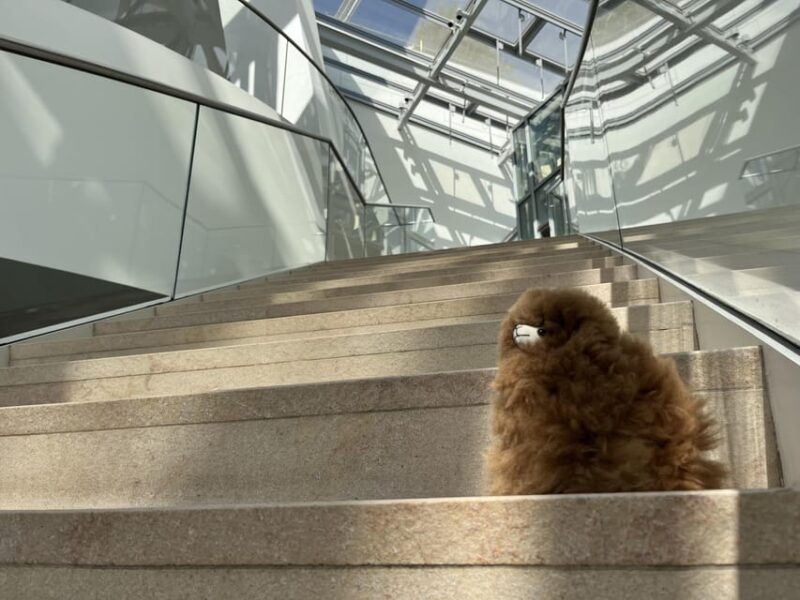 Fondation Louis Vuitton: Ticket Entry & Private Tour - Private Tour Details
