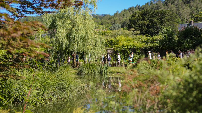 Fondation Monet & Museum of Impressionism trip in Giverny from Paris - From Paris to a painter’s village