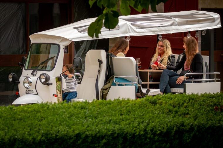 Fondue and Wine Private Tuk Tuk Tour in Geneva - Culinary Experience
