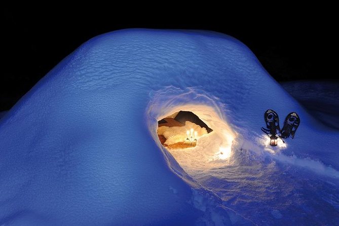 Fondue Savoyarde in Igloo Experience - Experience Highlights