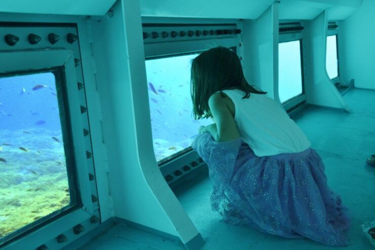 Font De Sa Cala: East Coast Glass-Bottomed Catamaran Tour - Experience Highlights