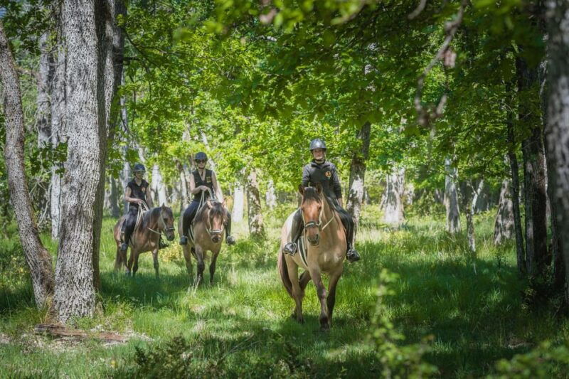 Fontainebleau: Horse-riding, Gastronomy & Château - Good To Know