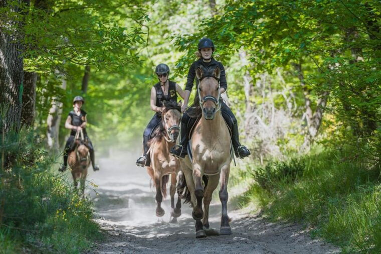 Fontainebleau: Horse-riding, Gastronomy & Château - Customer Reviews and Feedback