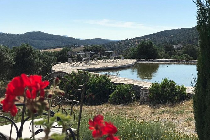 Food and Wine Pairing Dinner at Karnas Vineyards Bodrum - Traveler Reviews