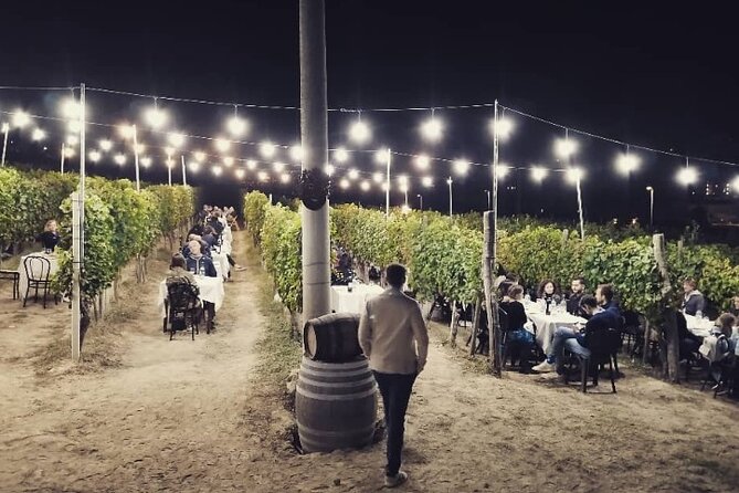 Food and Wine Tasting and Dinner in the Vineyard in the Langhe - Location and Meeting Point