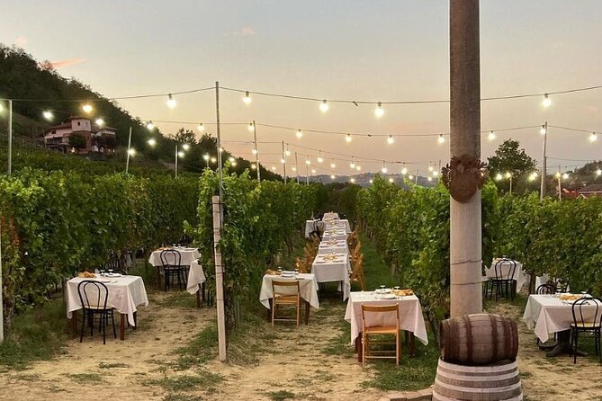 Food and Wine Tasting and Dinner in the Vineyard in the Langhe - Accessibility and Accommodations
