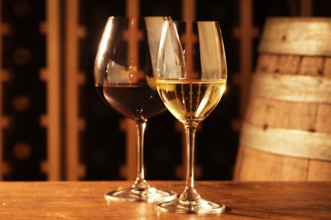 Food and Wine Tasting in Vino Veritas - Wine Selections