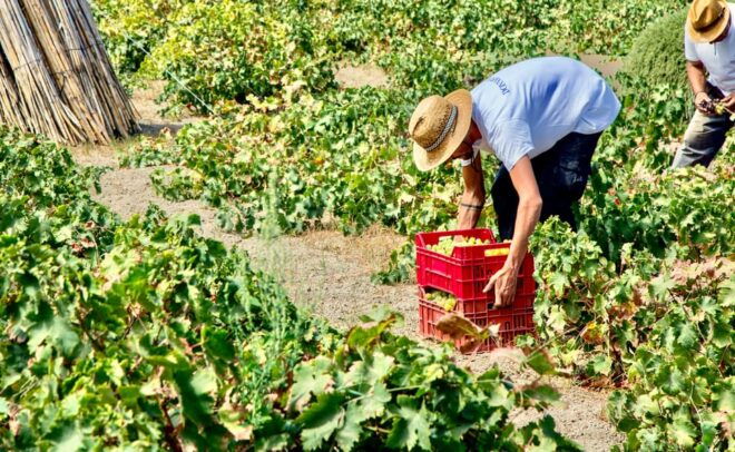 Food and Wine Tour - Itinerary Highlights