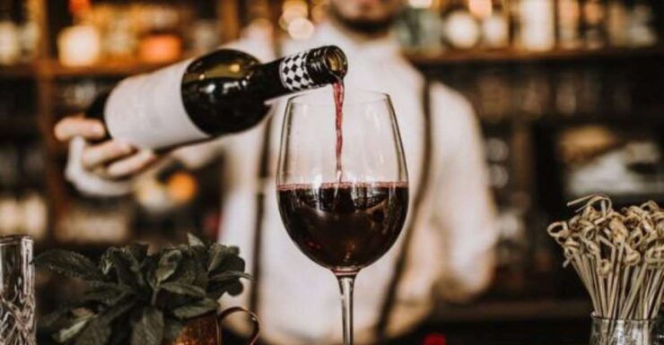 Food and Wine Tour Between Lake and Vineyard - Tour Details