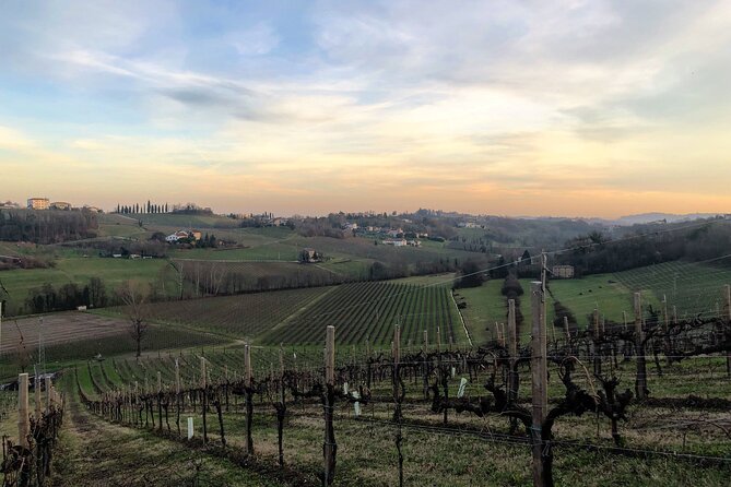 Food and Wine Tour on the Prosecco Hills From Venice - Culinary Experiences